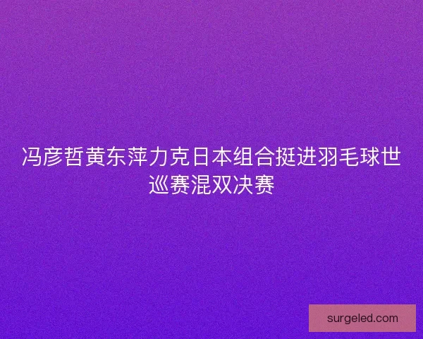冯彦哲黄东萍力克日本组合挺进羽毛球世巡赛混双决赛