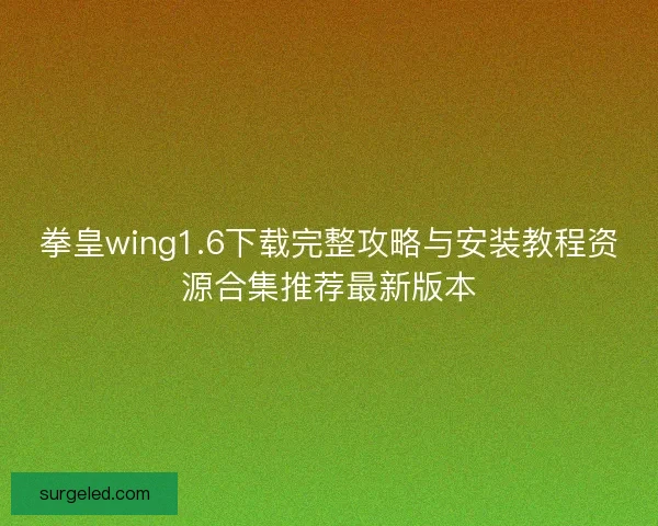 拳皇wing1.6下载完整攻略与安装教程资源合集推荐最新版本