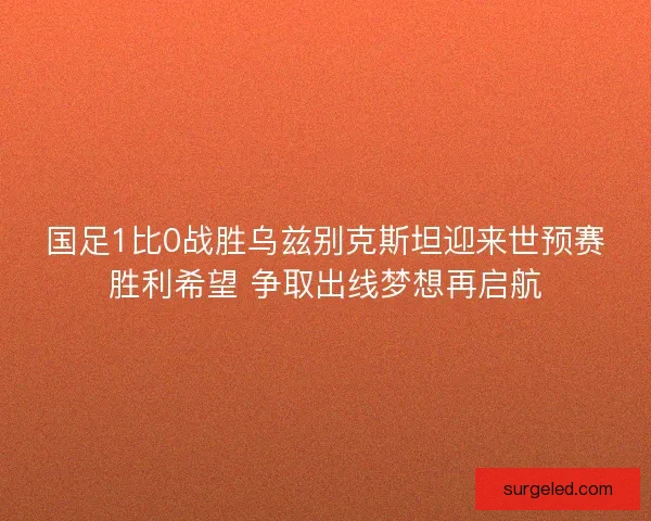 国足1比0战胜乌兹别克斯坦迎来世预赛胜利希望 争取出线梦想再启航 国足1比0战胜乌兹别克斯坦迎来世预赛胜利希望 争取出线梦想再启航