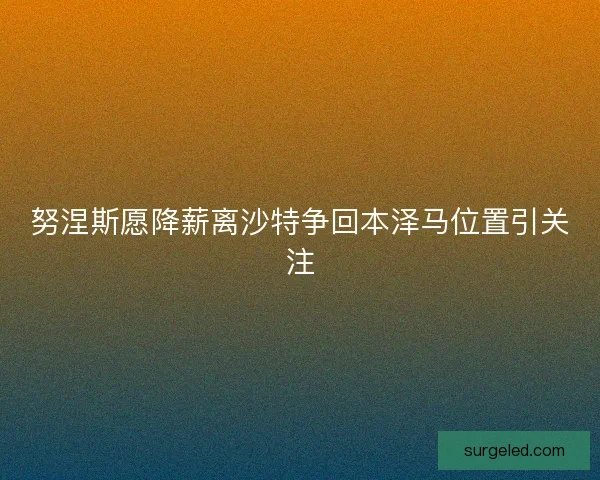 努涅斯愿降薪离沙特争回本泽马位置引关注